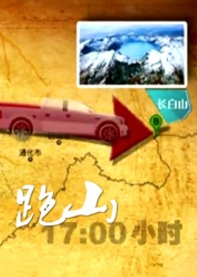 跑山2013海报