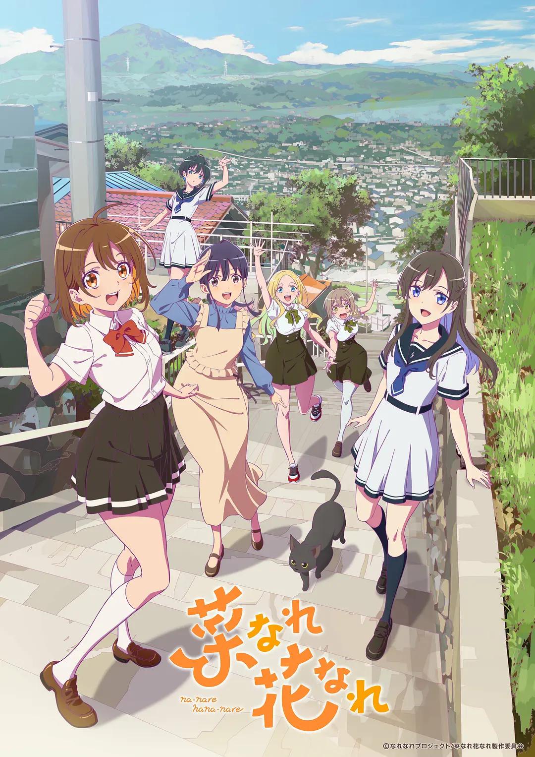 亦叶亦花海报