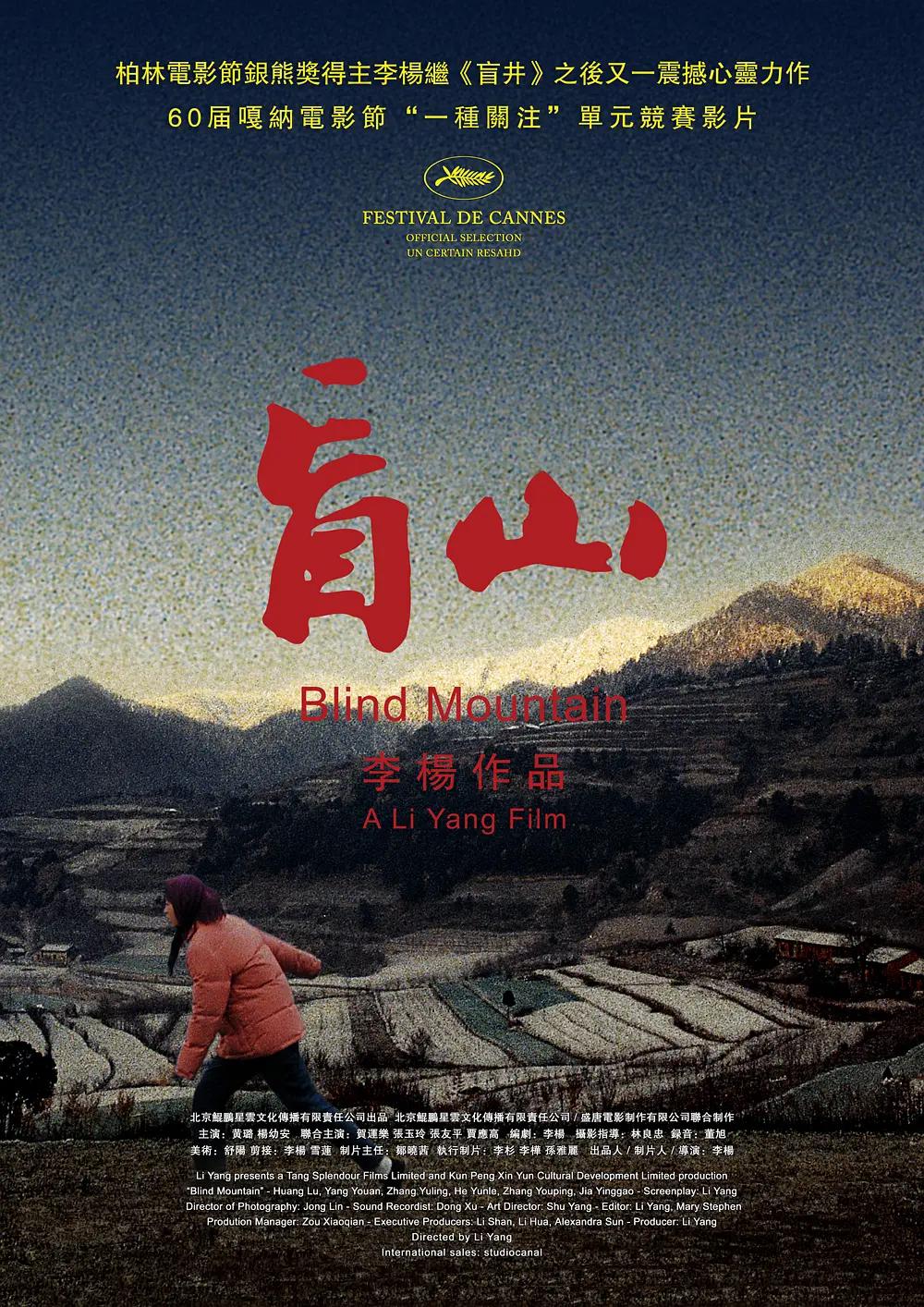 盲山2007海报