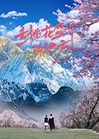 去桃花盛开的地方海报