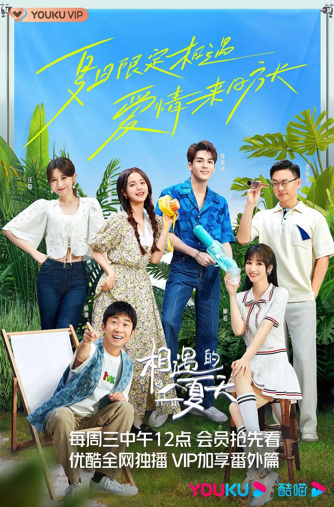 相遇的夏天海报