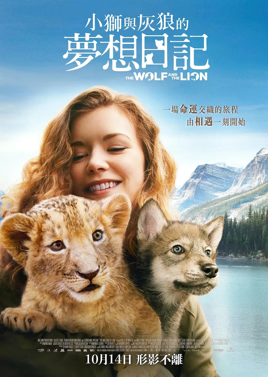 狮子与狼海报