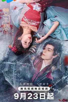 双生契海报