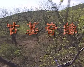 古墓奇缘2009海报