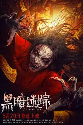 黑暗迷踪海报