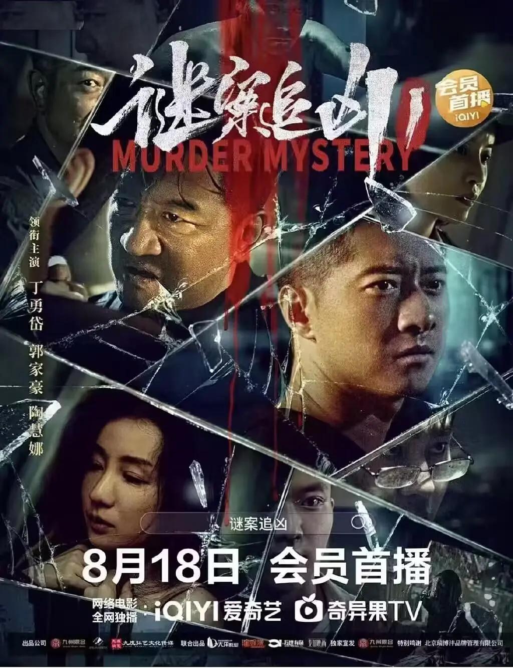 谜案追凶海报