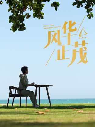 风华正茂2024海报