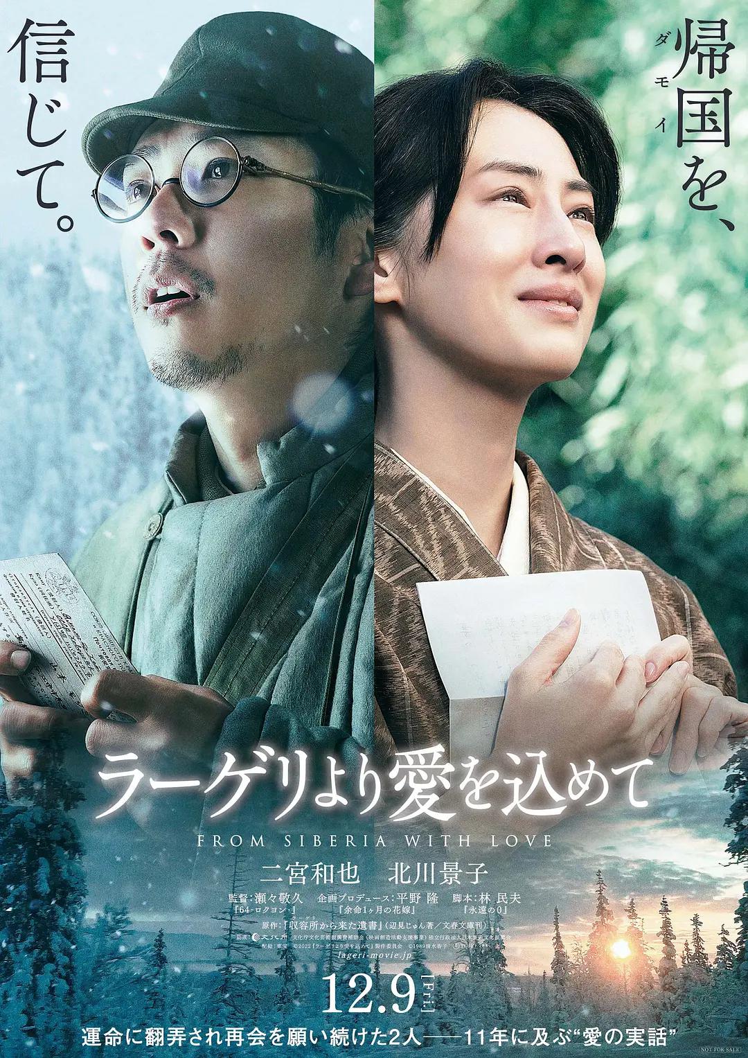来自收容所的爱海报