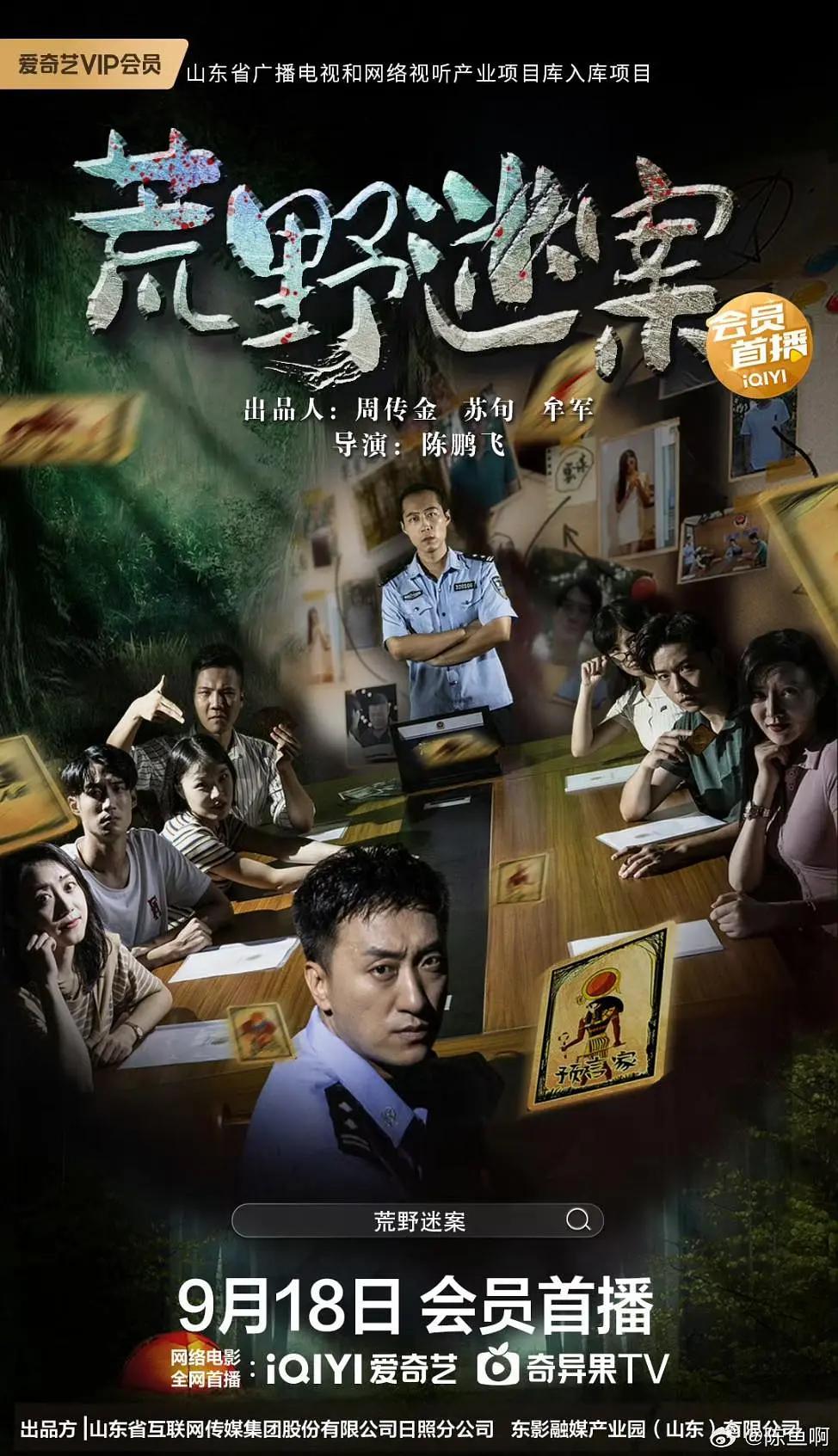 荒野迷案海报