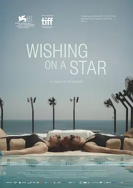对着星星许愿海报