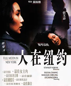 人在纽约[电影解说]海报