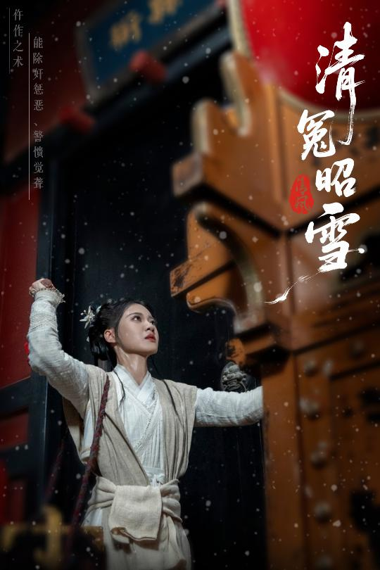 清冤昭雪海报