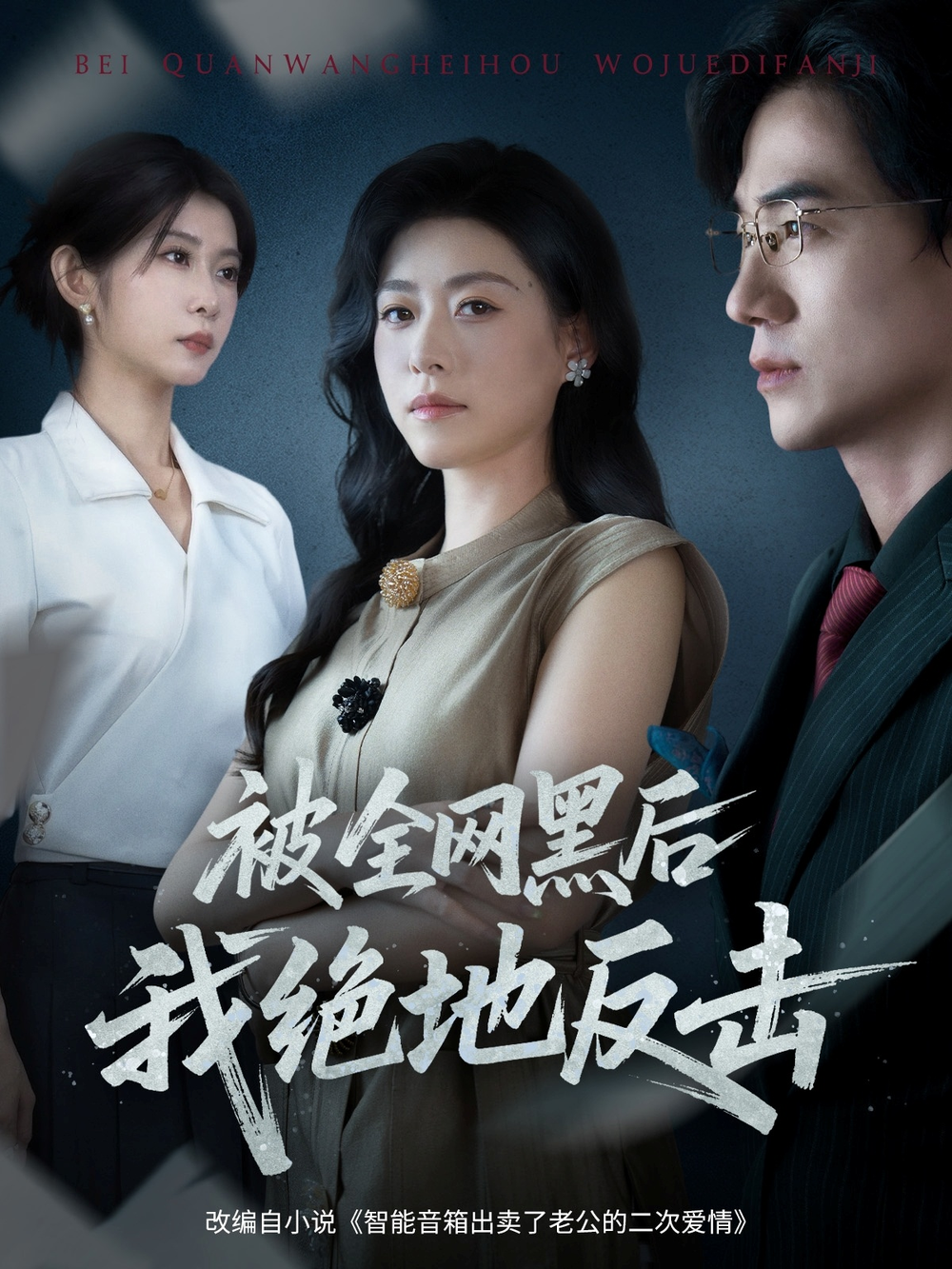 被全网黑后我绝地反击海报