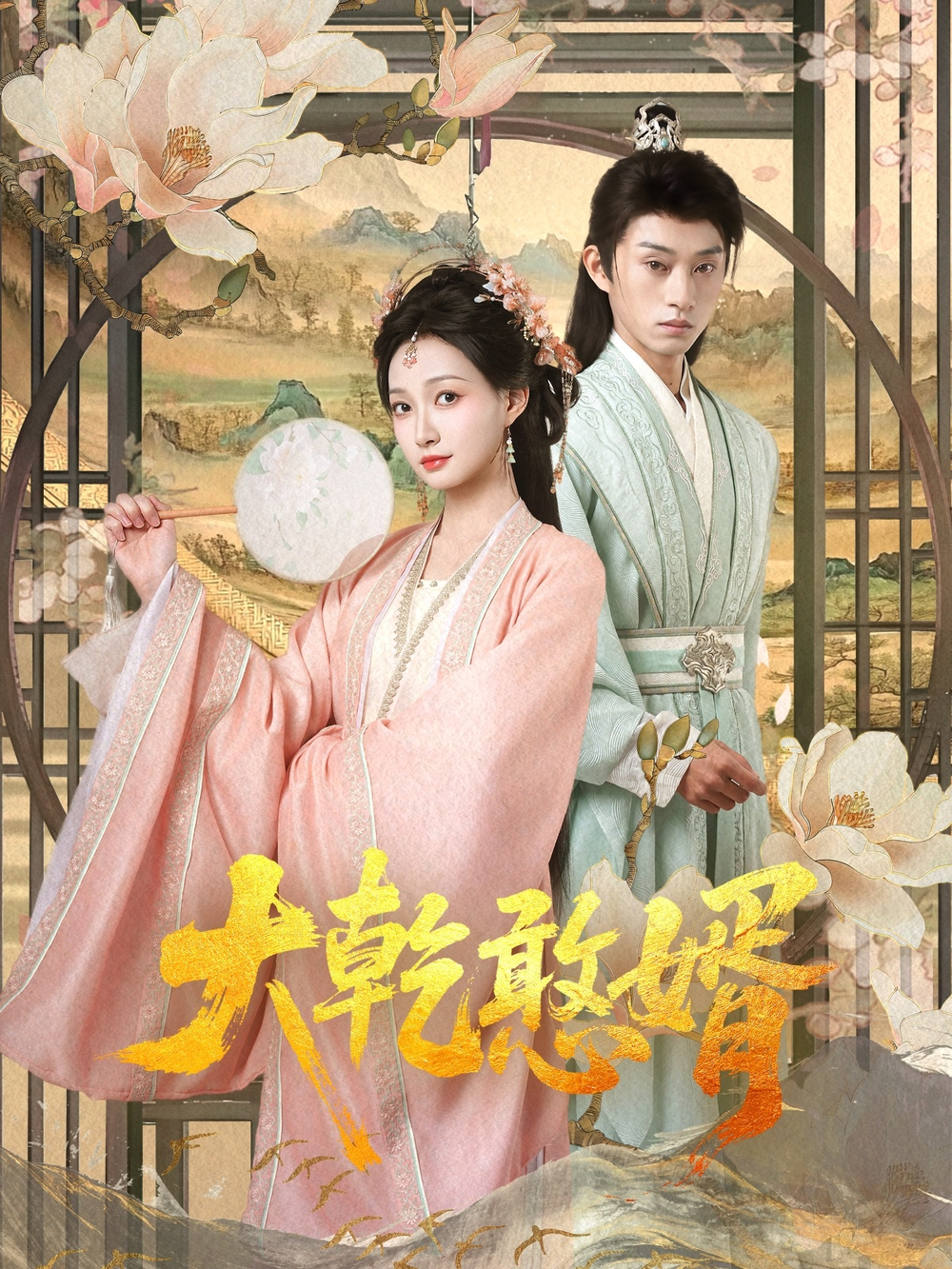大乾憨婿海报