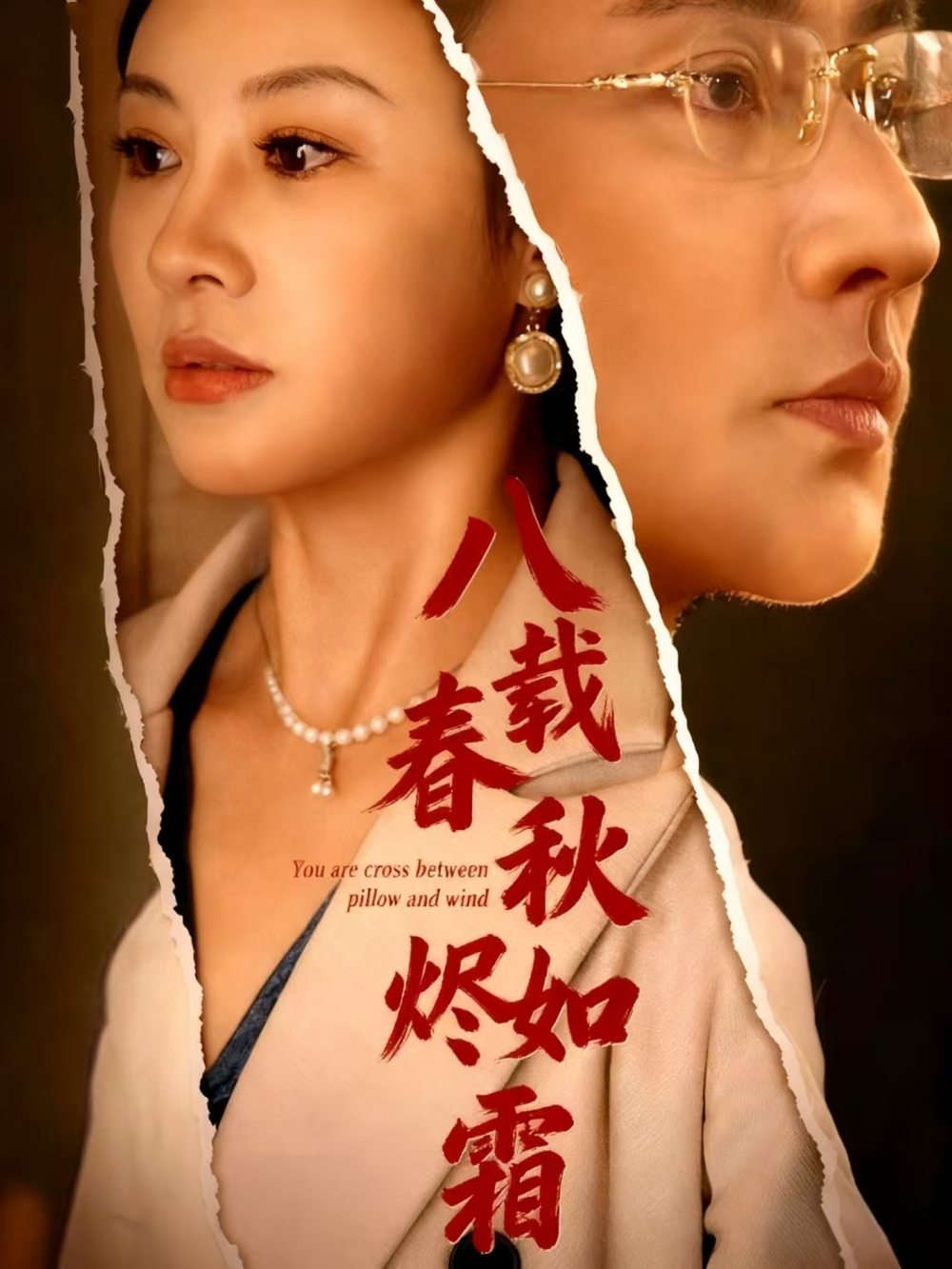 八载春秋烬如霜海报