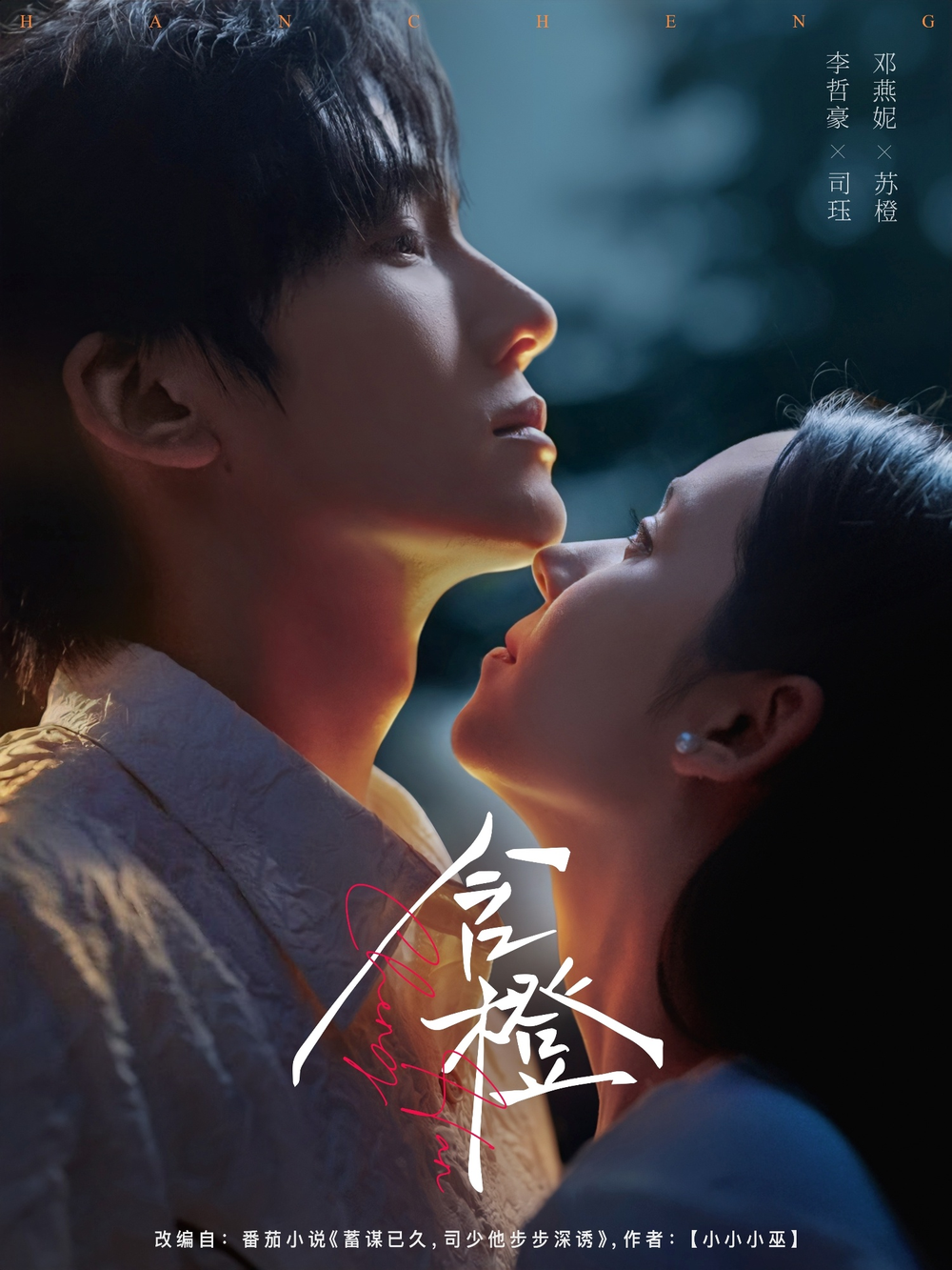 含橙海报