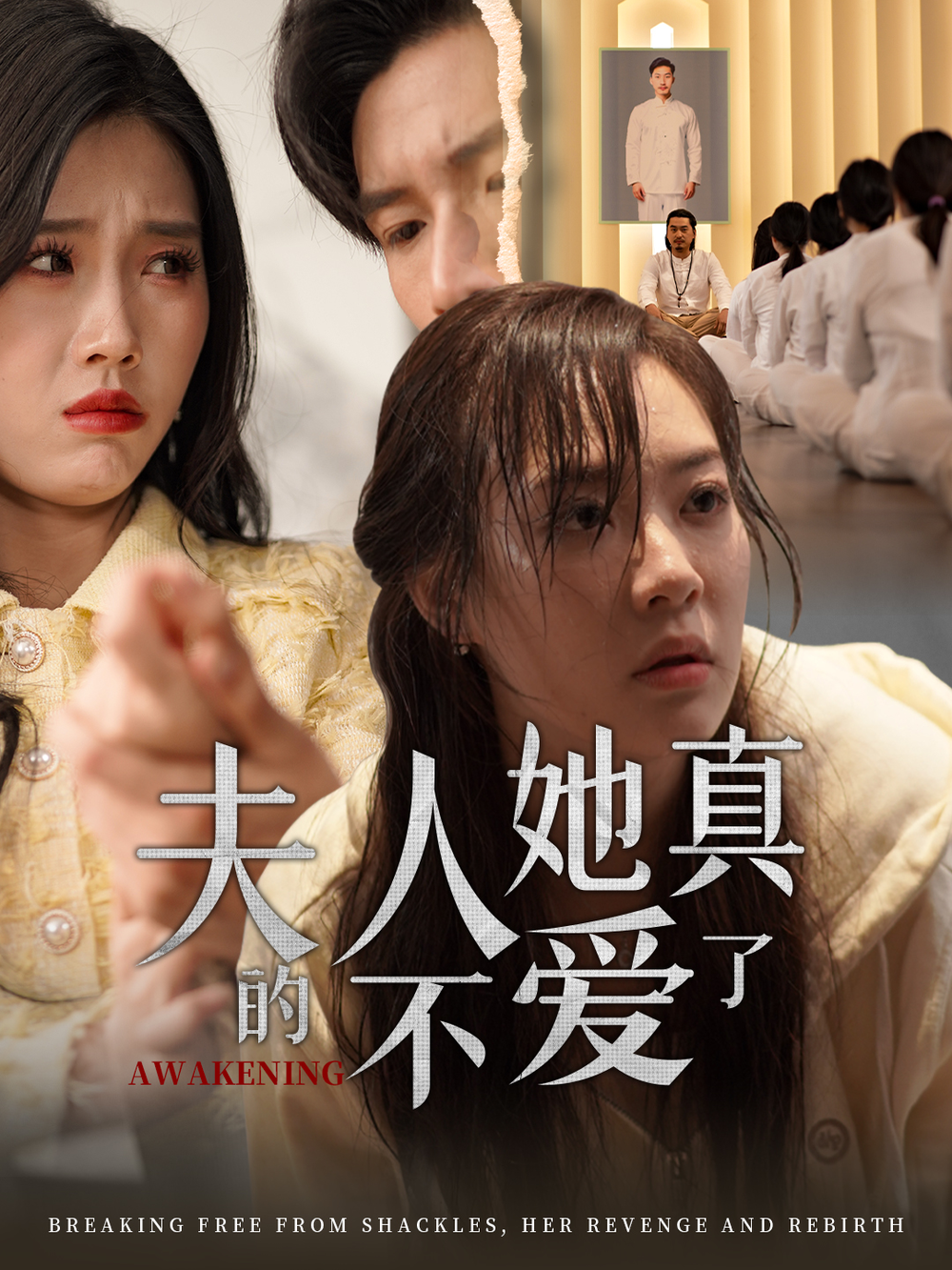 夫人她真的不爱了海报
