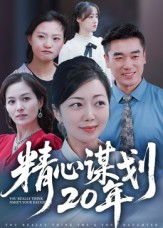 精心谋划20年海报