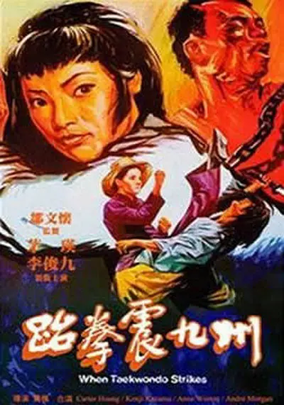 跆拳震九州[电影解说]海报
