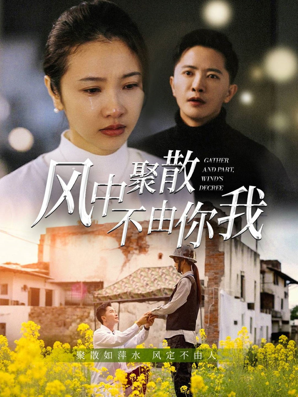 风中聚散不由你我海报