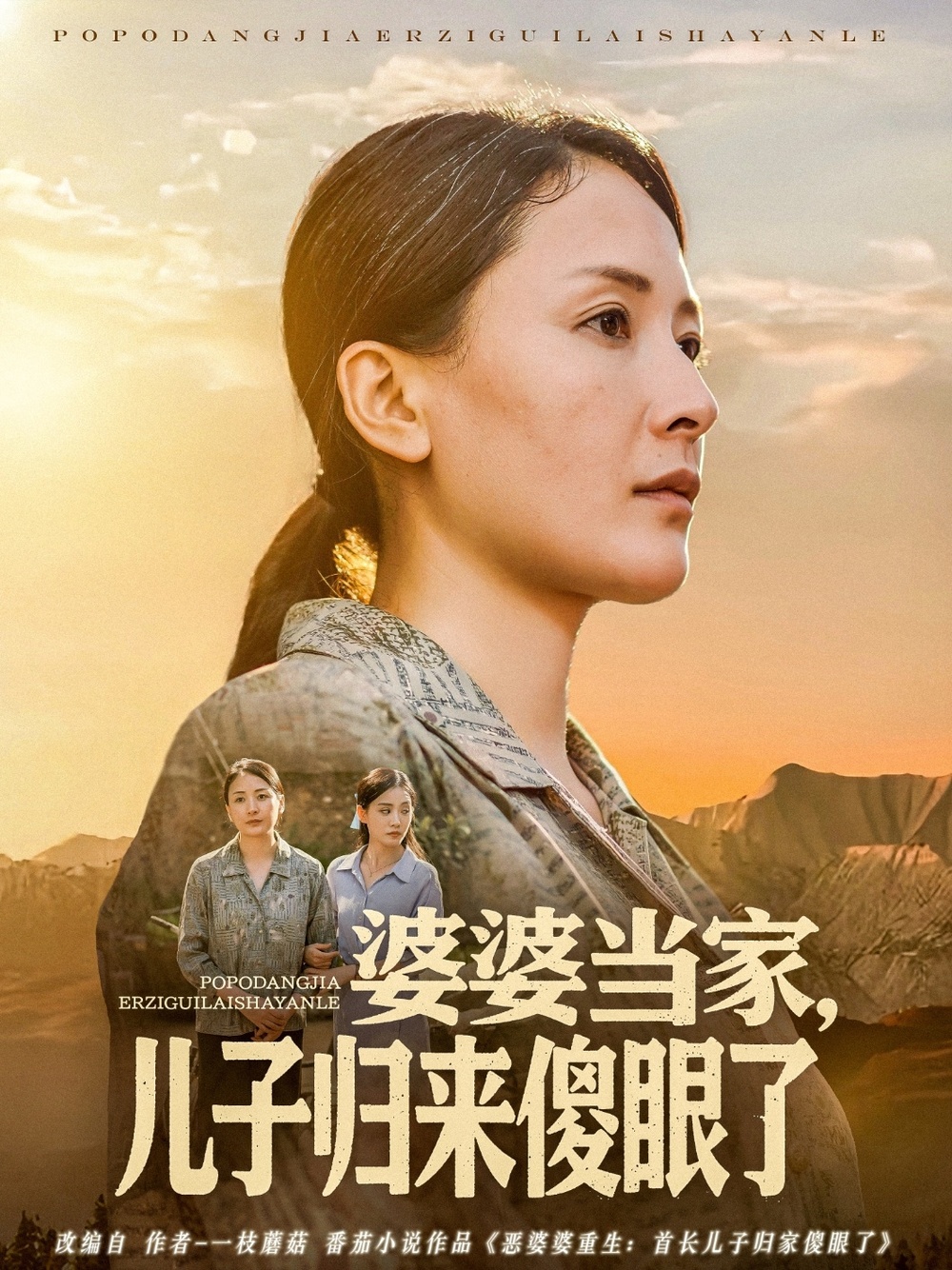 婆婆当家儿子归来傻眼了海报