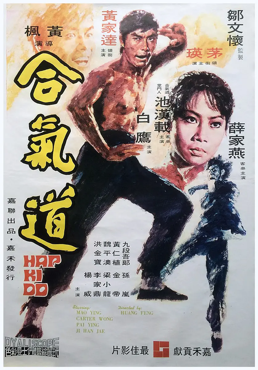 合气道1972[电影解说]海报