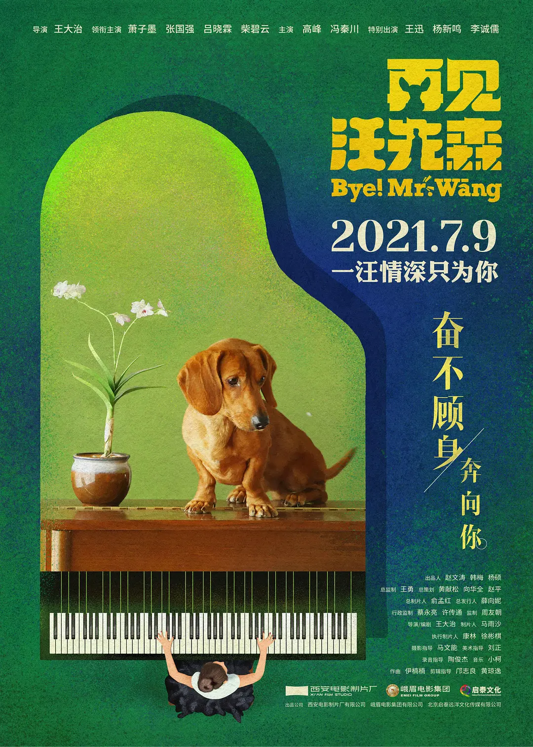 再见汪先森[电影解说]海报