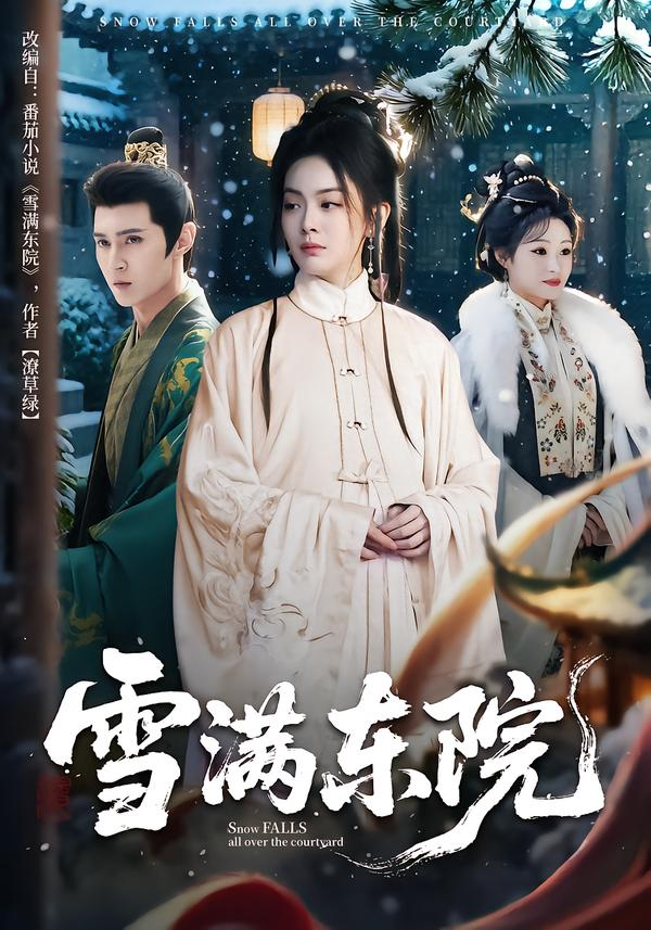 雪满东院海报