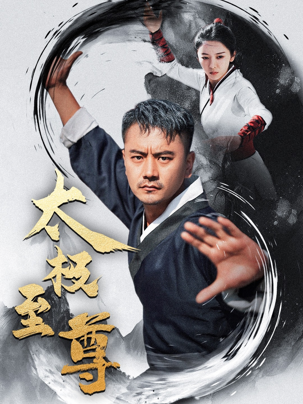 太极至尊海报