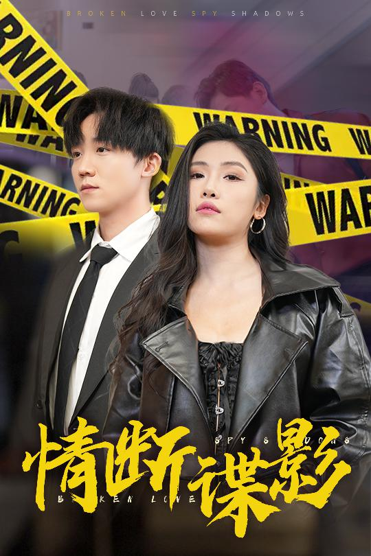 情断谍影之我的特工老婆海报