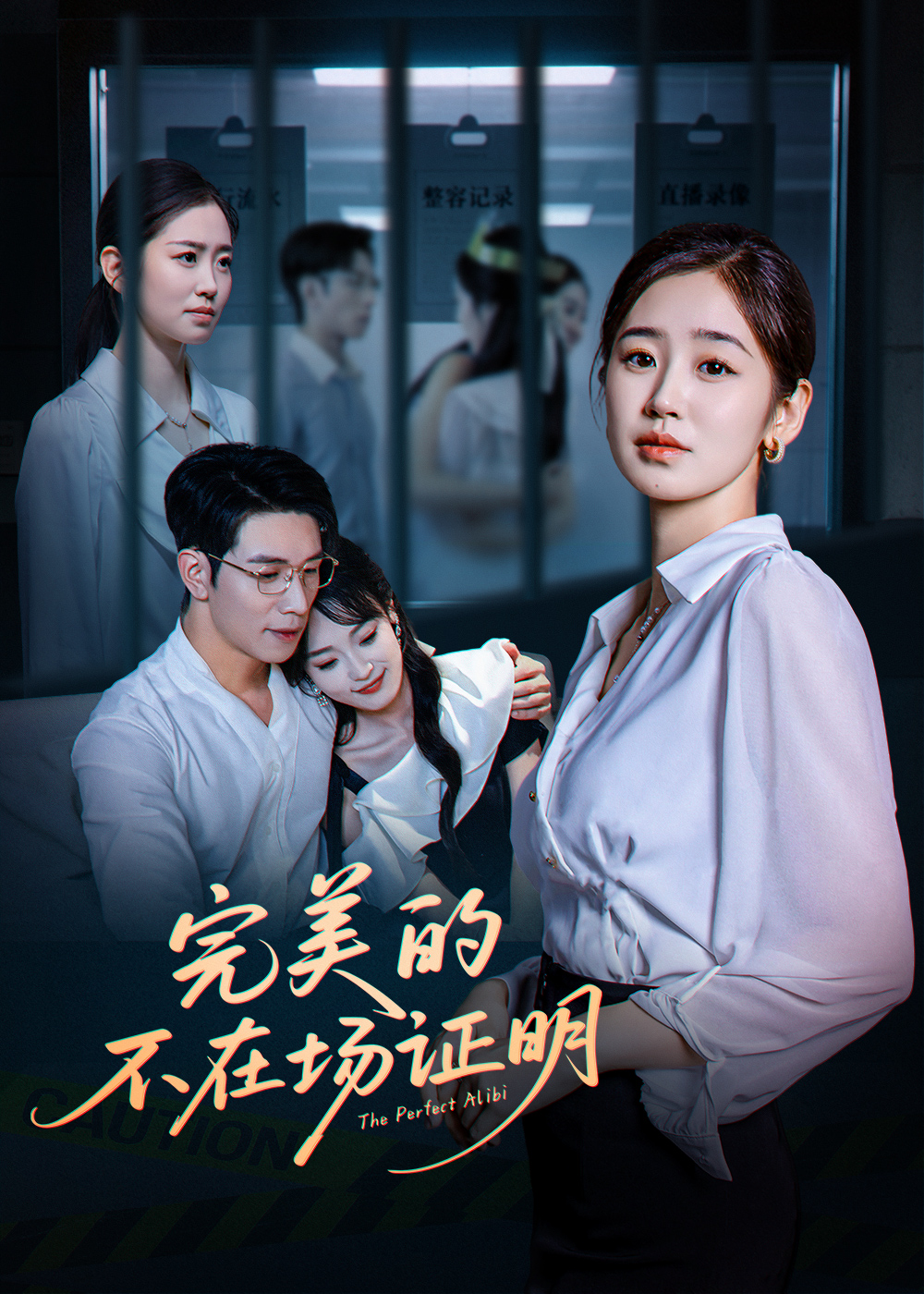 完美的不在场证明海报
