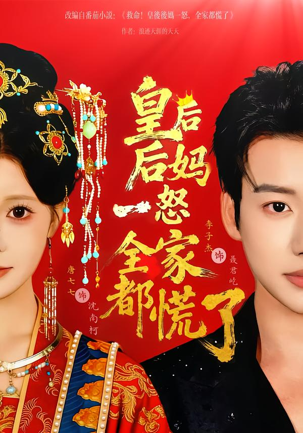 皇后后妈一怒全家都慌了海报