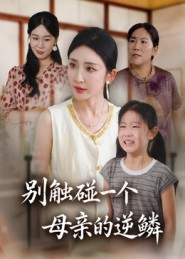 别触碰一个母亲的逆鳞海报
