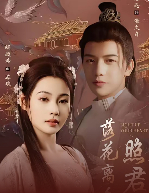 落花离人照君心＆嫁给首辅后要风得雨海报