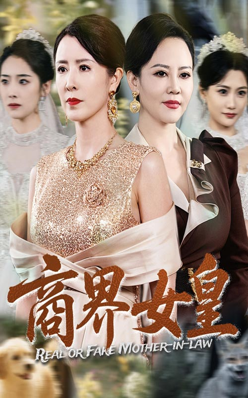 商界女皇海报