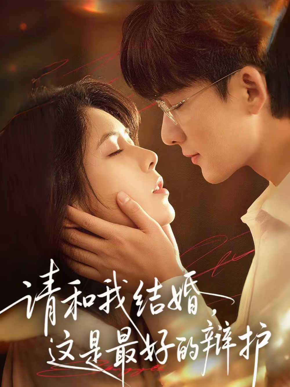 请和我结婚，这是最好的辩护海报