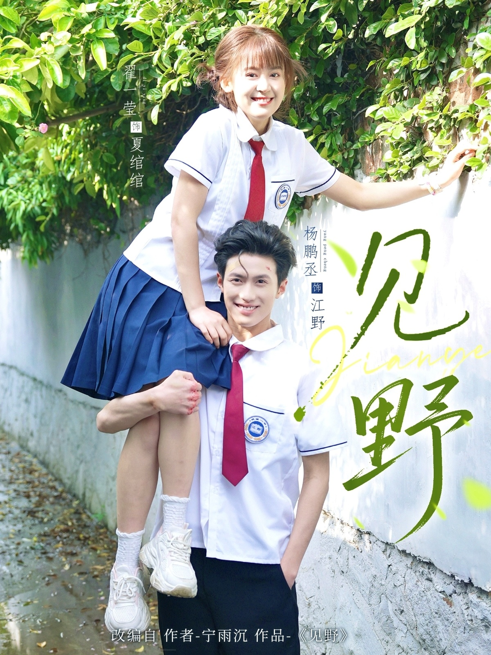 见野海报