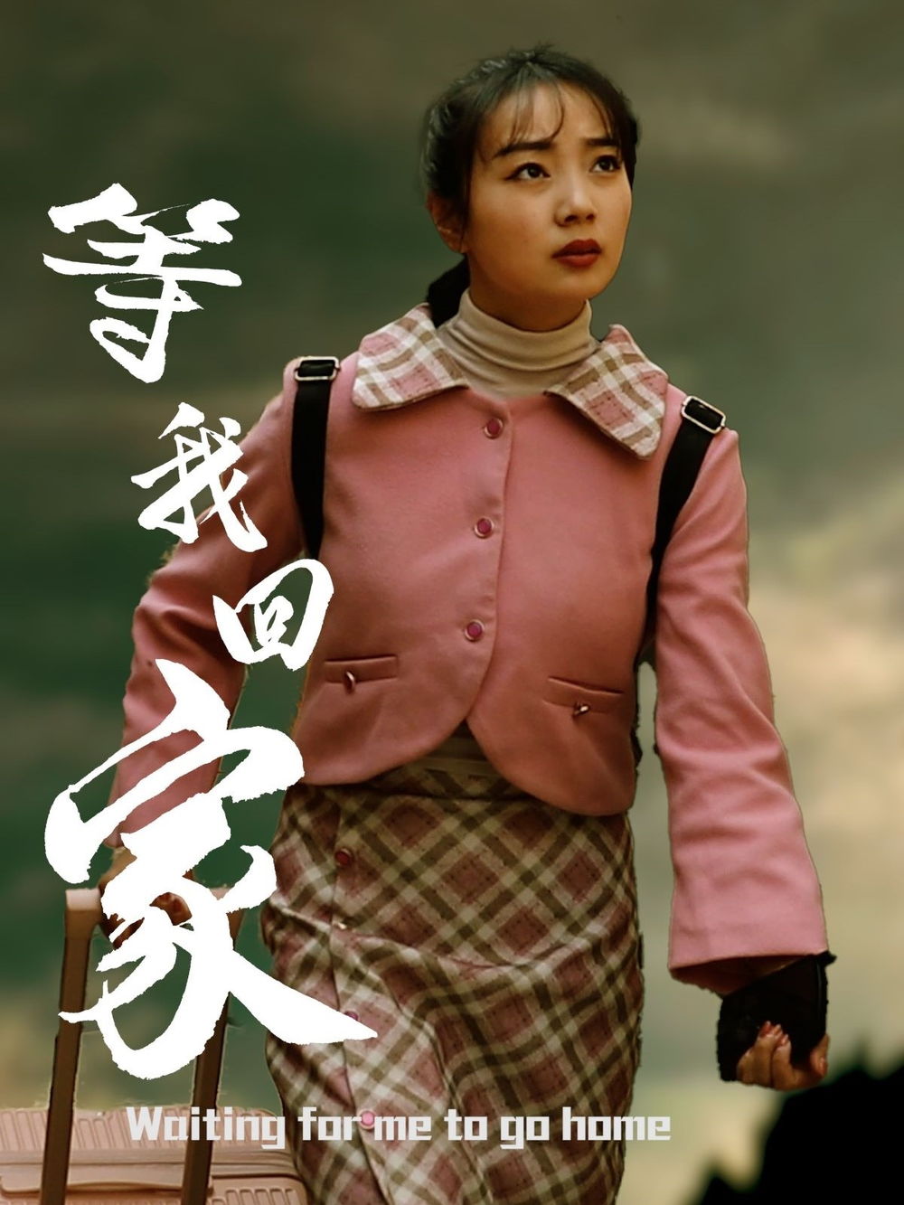 等我回家海报