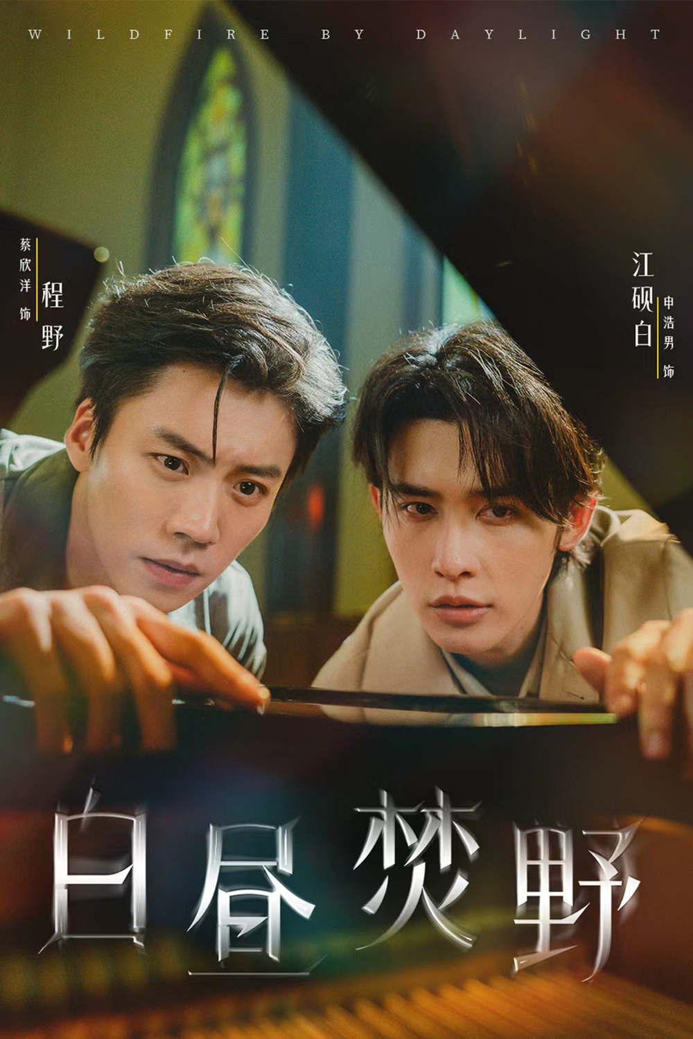 白昼焚野海报