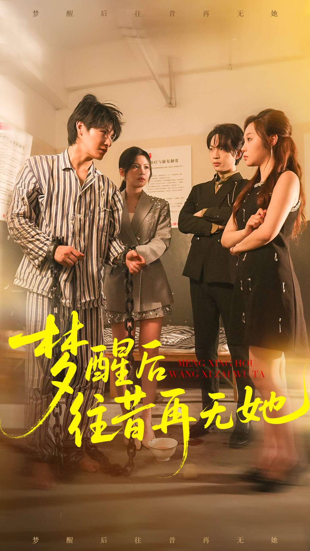 梦醒后往昔再无她海报
