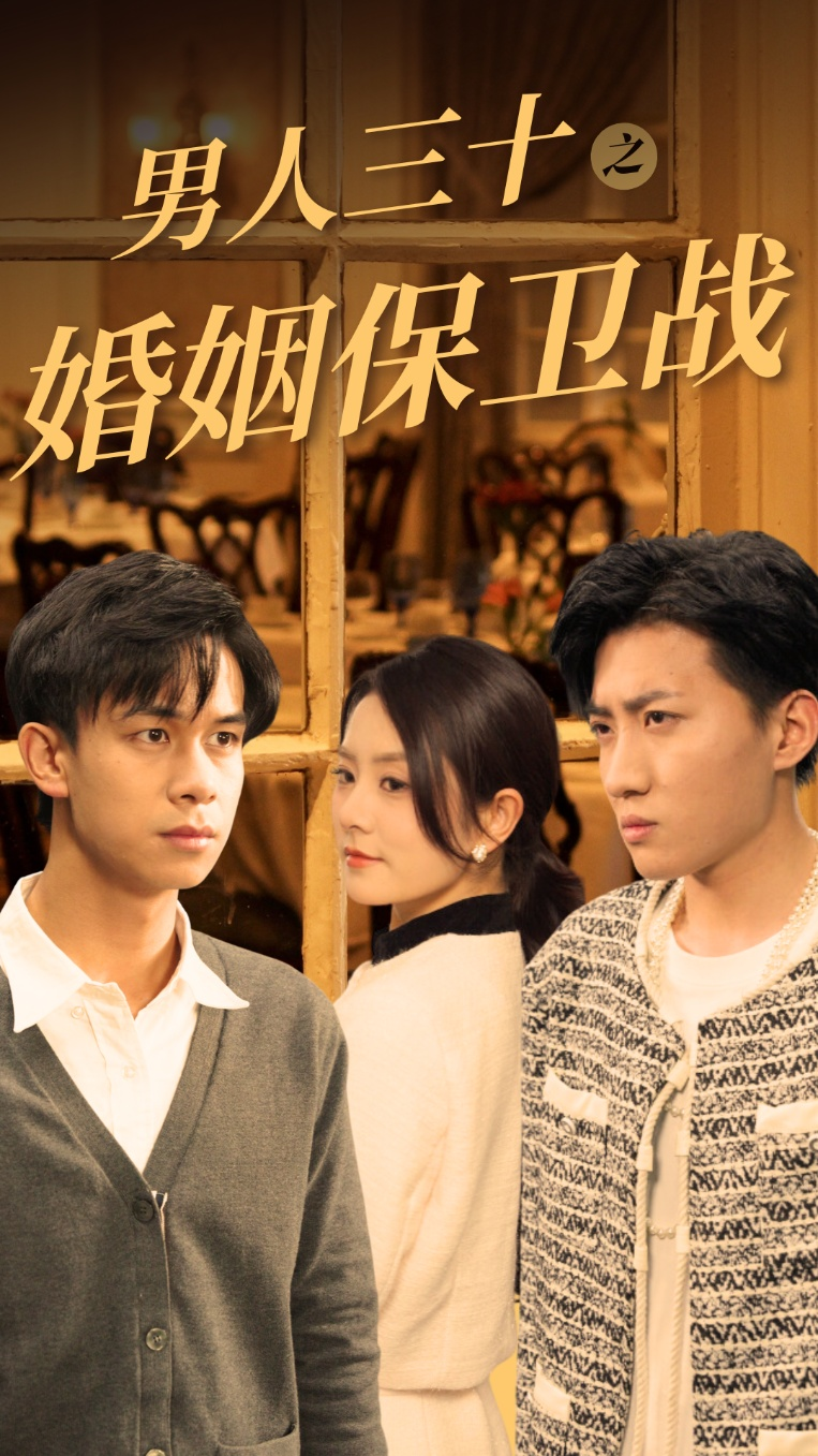 男人三十之婚姻保卫战海报