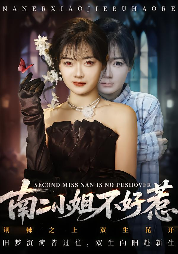 南二小姐不好惹海报