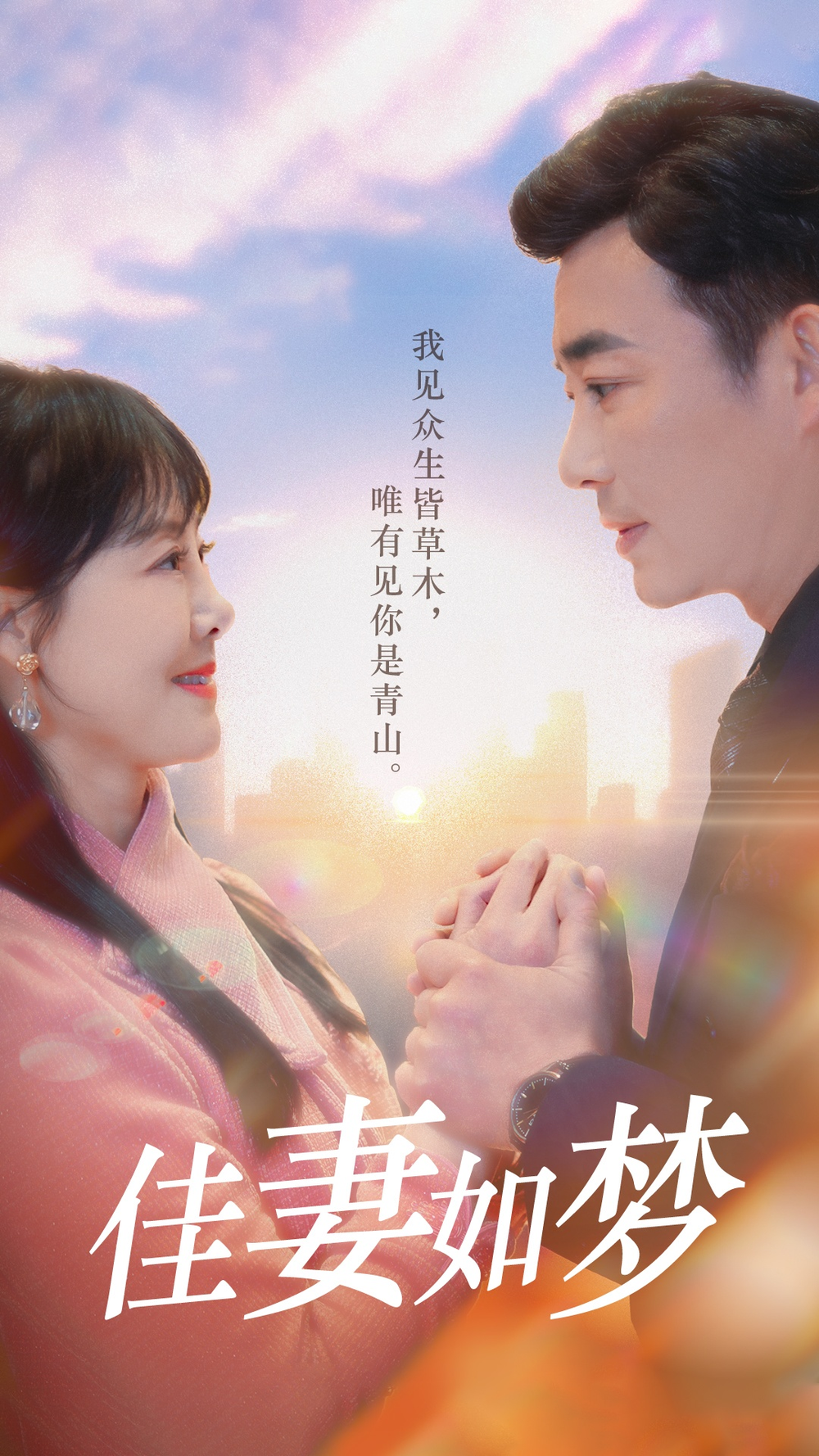 佳妻如梦海报