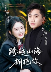跨越山海拥抱你海报