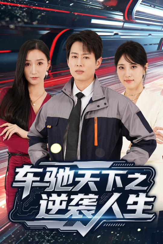 车驰天下之逆袭人生海报