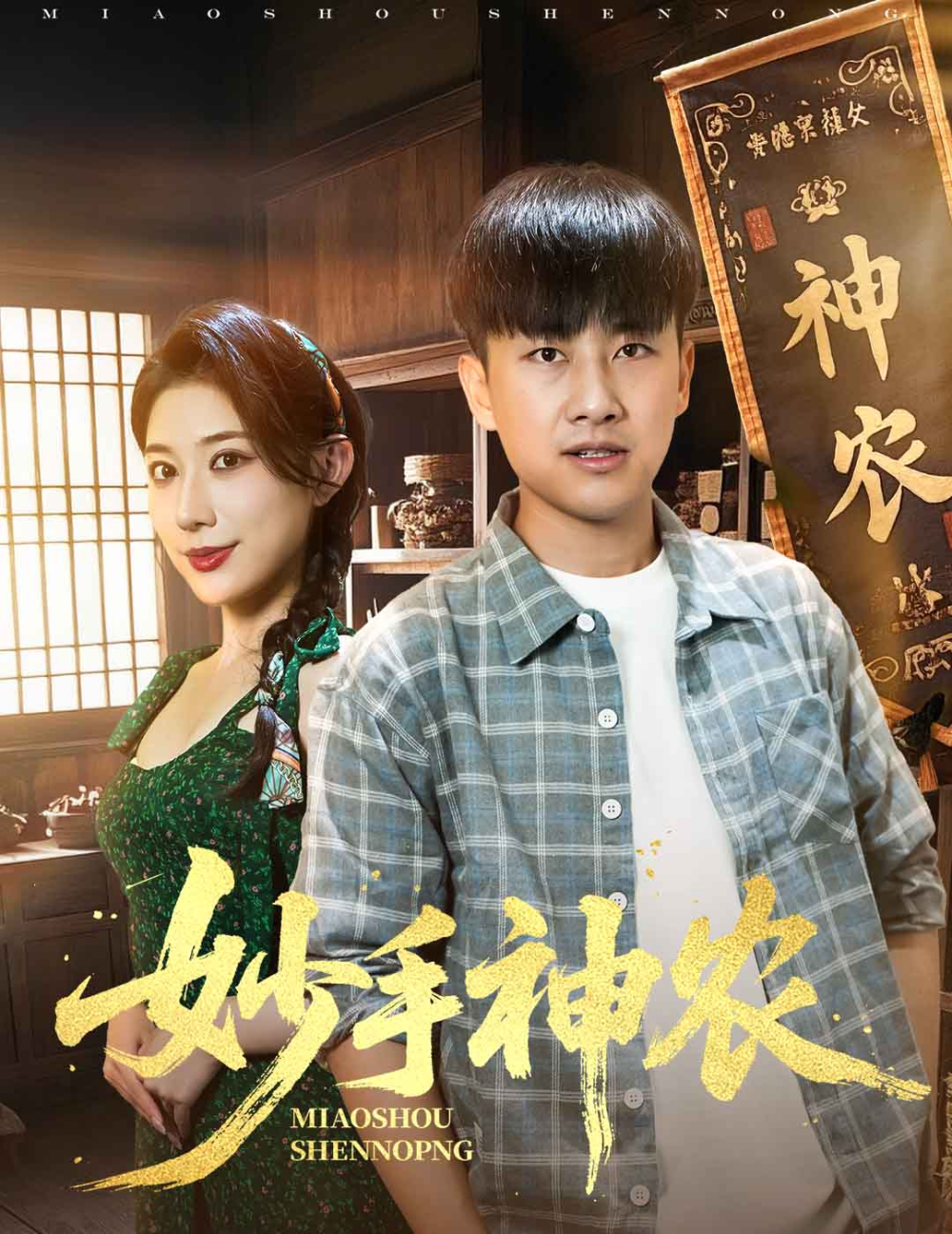妙手神农海报