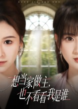 想当家做主,也不看看我是谁海报