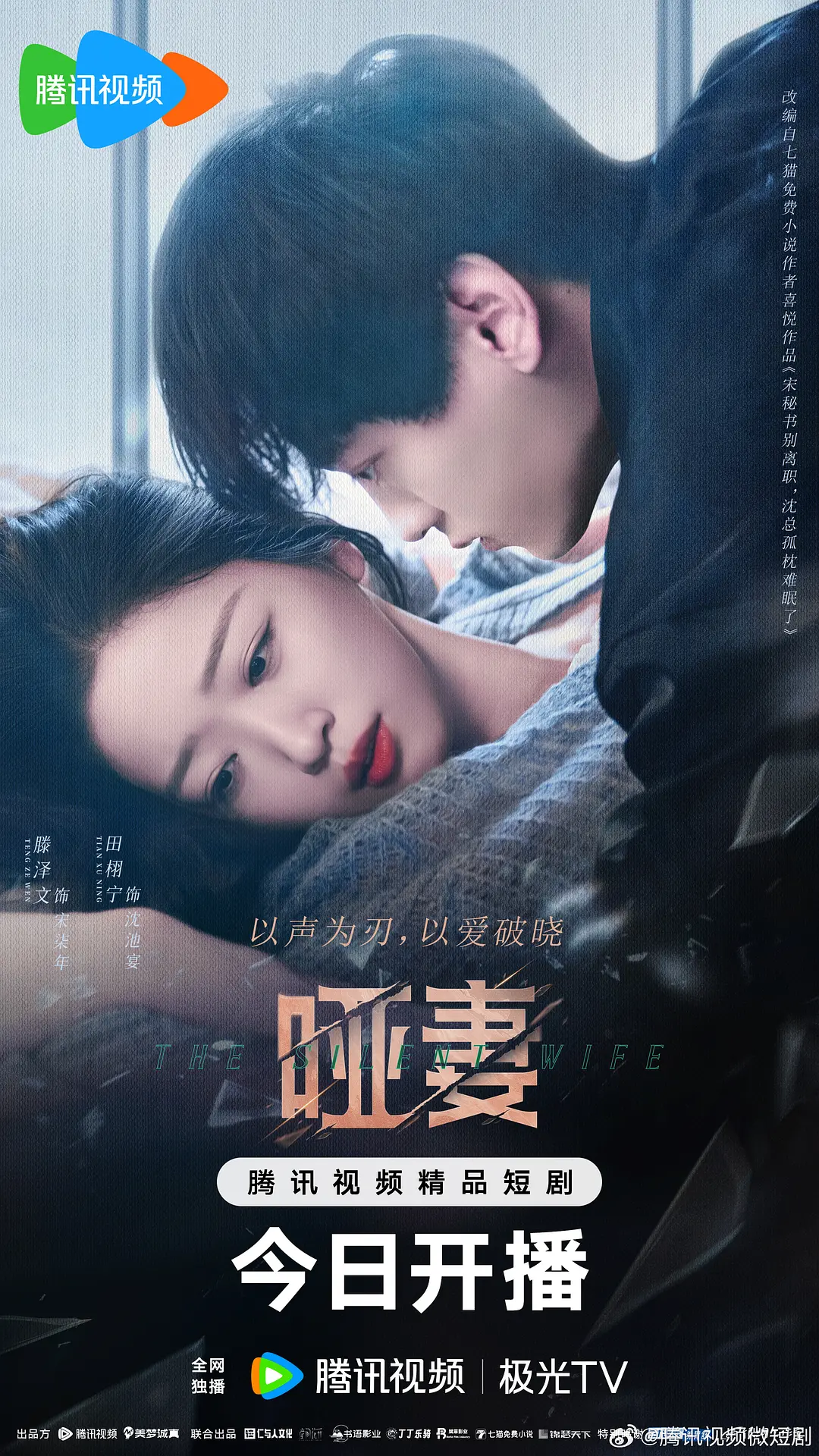 哑妻2024海报