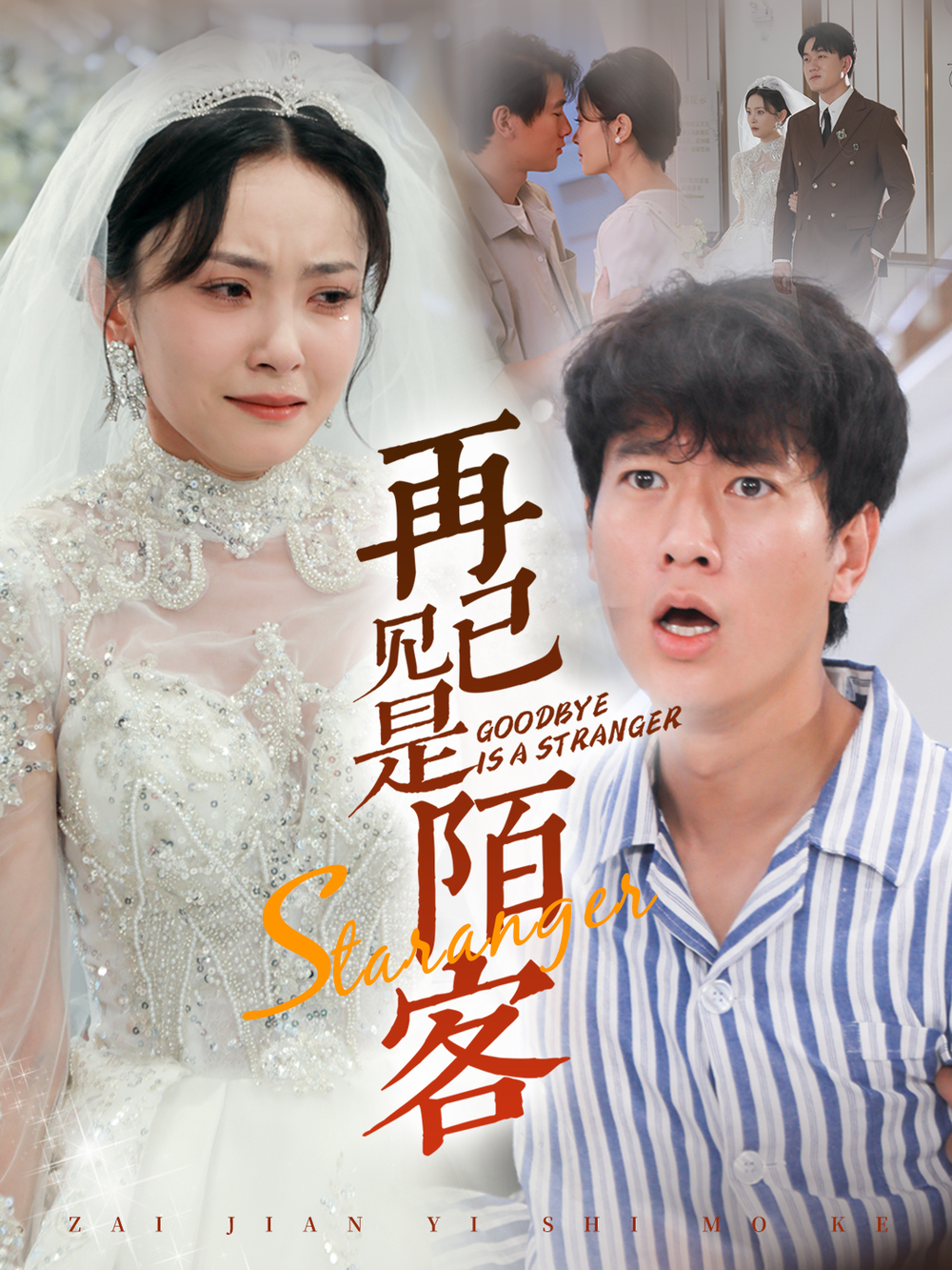 再见已是陌客海报