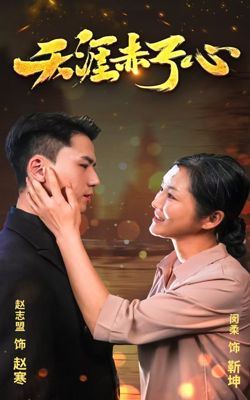 天涯赤子心海报